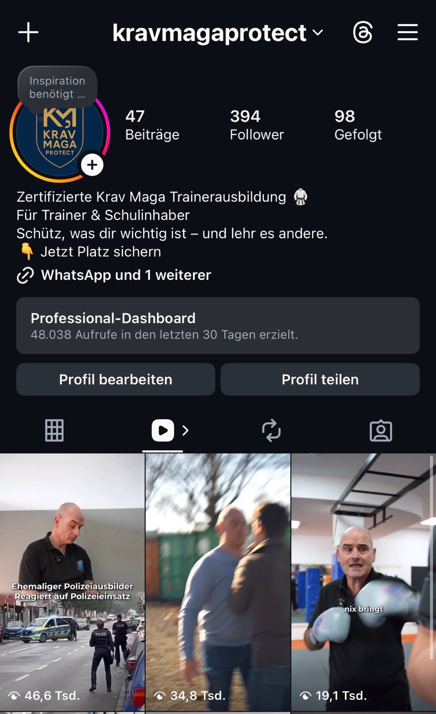 Instagram-Profil in einer frühen Phase mit 394 Followern