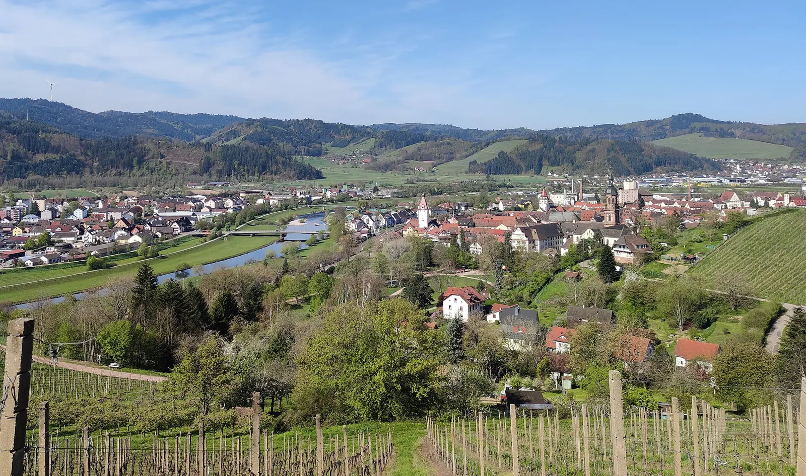 Gengenbach im Kinzigtal, gesehen aus den Weinbergen